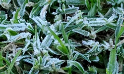 A Fazenda que virou cenário de filme e de um desafio