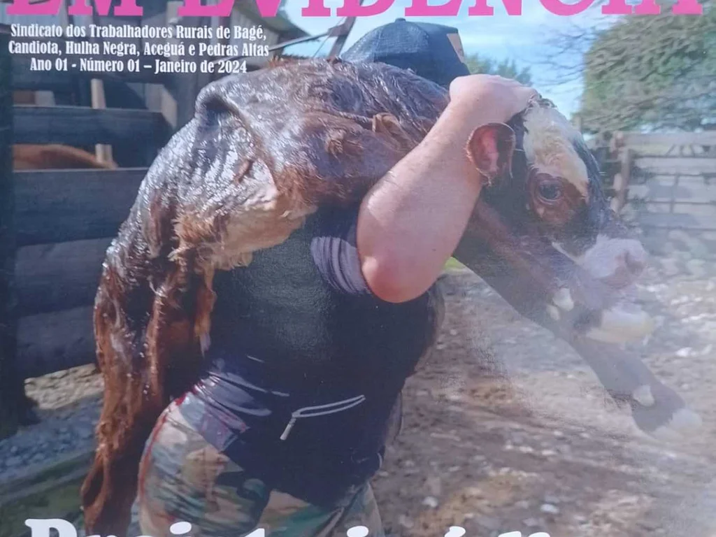 Projeto Mulheres do Campo em Evidência terá lançamento neste sábado