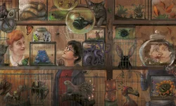 Bageense é selecionada em chamada nacional de editora