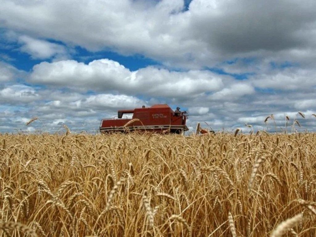 Levantamento apresenta diagnóstico das lavouras de grãos