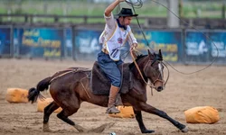 Finais do Cavalo Crioulo valorizam o trabalho dos domadores