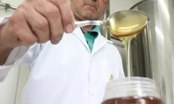 Retomada das castrações pelo município ainda não tem data definida