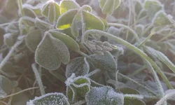 Pavimentação da Monte Líbano esbarra em entrave com convênio