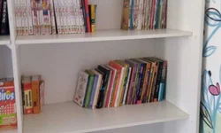 Pré-Carnaval mobiliza bageenses e define soberanas