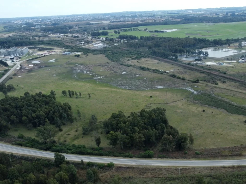 Bagé negocia instalação de esmagadora de soja no Distrito Industrial