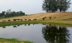 Agricultores familiares podem consultar produtos