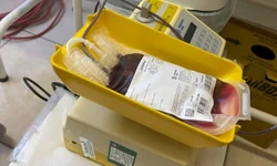 Mais de 3,7 mil ‘negativados’