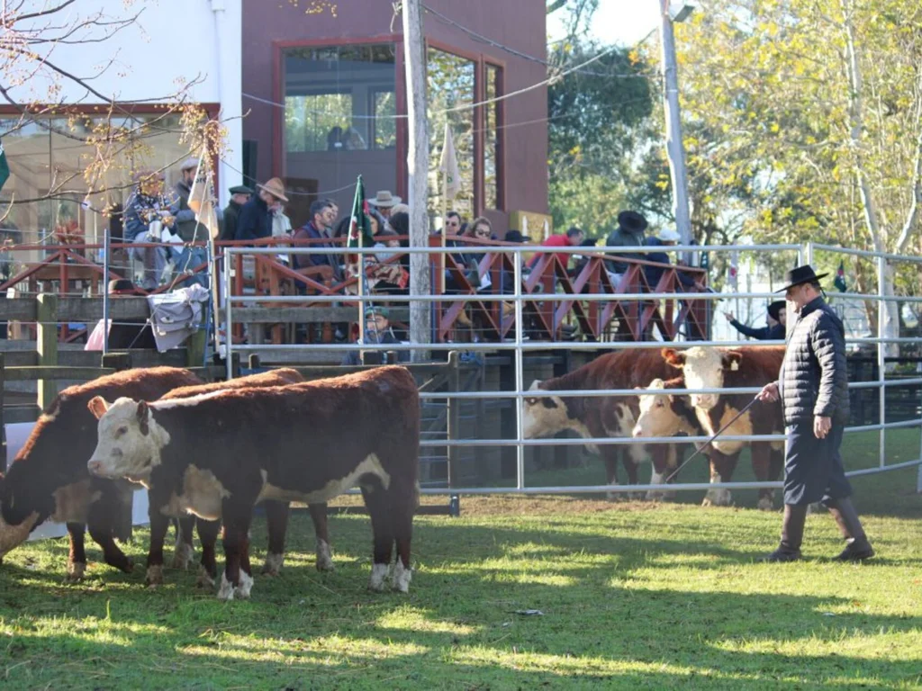 Propriedades de Aceguá arrebatam prêmios