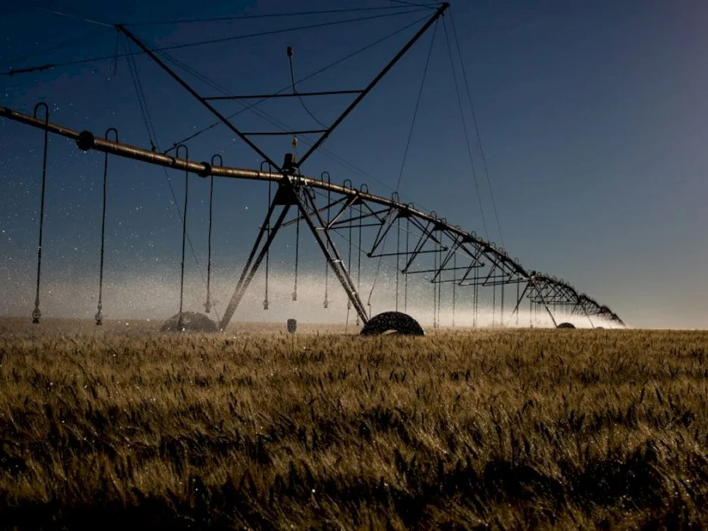 Sistema por pivô central ganha espaço entre os produtores