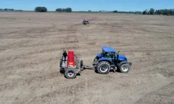 Novas regras são estabelecidas para agrotóxicos