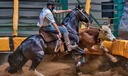 ABCCC cancela concentração de machos