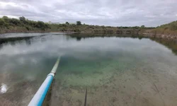 Quase metade dos gaúchos pretende presentear as mães