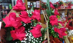 Violência contra idosos é crescente