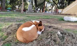 Onyx Lorenzoni troca o PL pelo PP