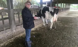 Associação define exposição especial Hereford e Braford