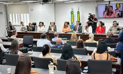 Pinheiro Machado busca liberação de recursos para pontes do Banhado e do Giguta