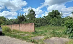 Equipe da Frei Plácido faz vaquinha on-line