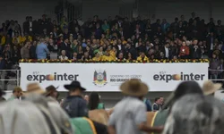 Feovelha começa nesta quinta-feira em Pinheiro Machado