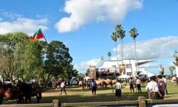 Média geral da feira contabiliza aumento superior a 6%