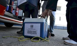 Golpes ultrapassam  R$ 1 milhão  em Bagé