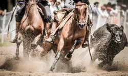 Campereada Team Penning consagra cinco trios