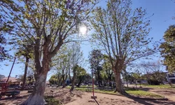 Médico alerta: câncer de mama pode ter cura se descoberto no início