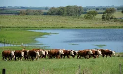 Expediente bancário tem alterações