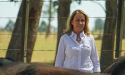 Mais de 1,7 mil animais foram comercializados em 2024