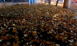 Hamm indica recursos para hospitais