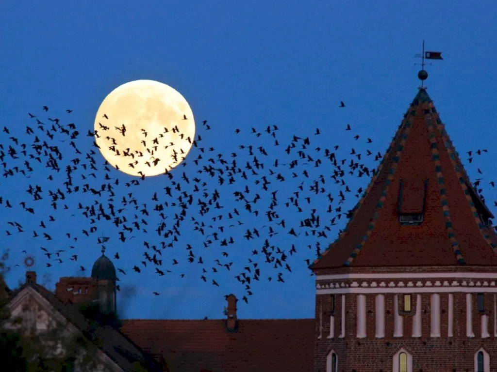 Superlua é destaque neste início da semana
