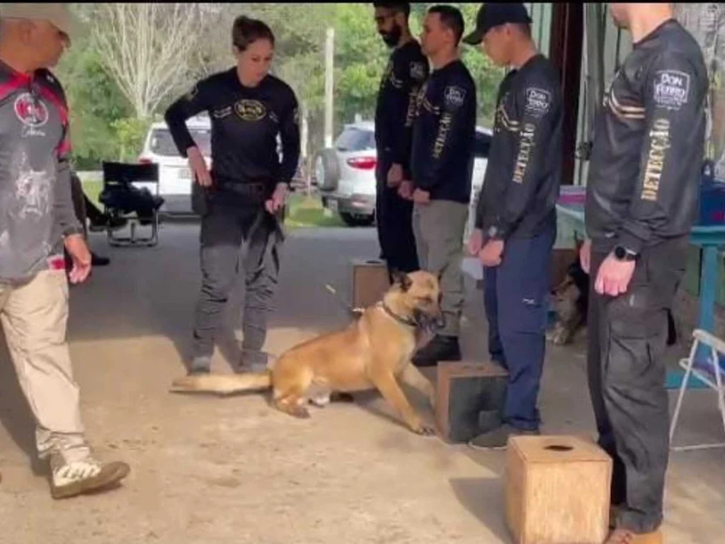 Cão Arco foi atração de curso de farejadores