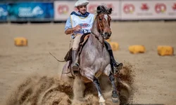 Finais do Cavalo Crioulo valorizam o trabalho dos domadores