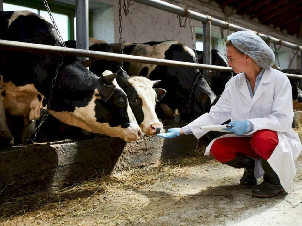 Campanha alerta para os cuidados no uso de antimicrobianos