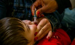 Pré-natal descentralizado começa dia 15 em Bagé