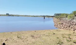 PSDB, PP, União e Novo exibem nesta semana