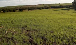 TSE reúne Observatório de Transparência das Eleições