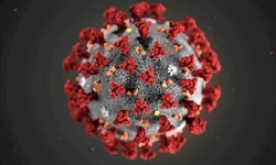 Bagé terá unidade móvel neste sábado de vacinação