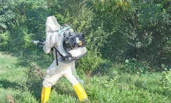 Feriado na sexta-feira altera principais serviços