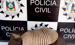 Governo gaúcho anuncia investimento bilionário na educação