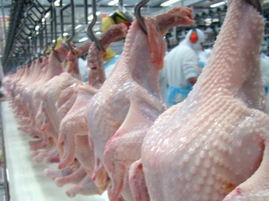 Carne de frango está mais salgada ao consumidor