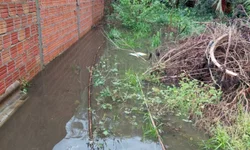 PSB de Bagé elege novo presidente