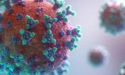 Campanha do Agasalho precisa de peças masculinas