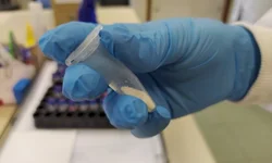 Ameaça de massacre assusta comunidade escolar