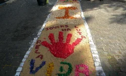 Votação de projeto de indenização por interrupção no fornecimento de energia é adiada