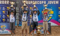 Morfologia do Cavalo Crioulo abre a temporada de finais