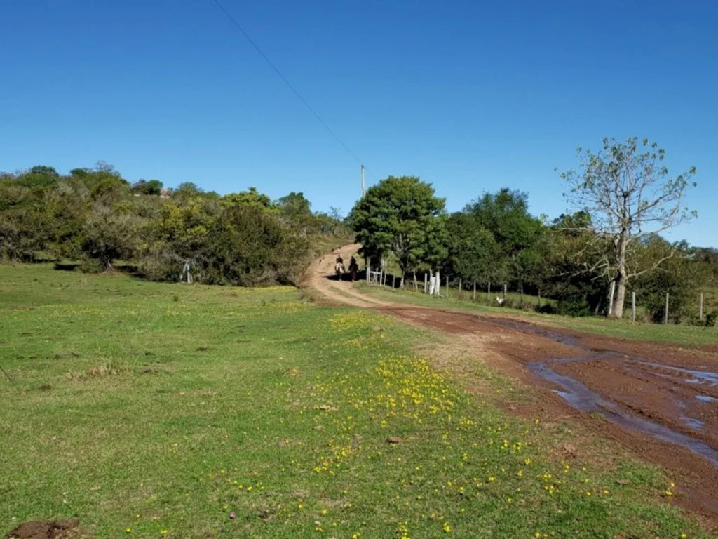 Produtores relatam prejuízos pelas más condições das estradas