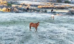 Encontro da Renorcrim discute estratégias contra o crime organizado