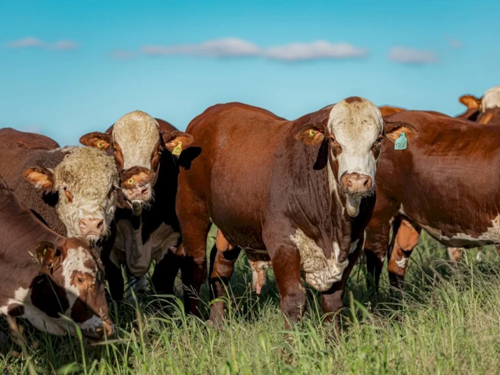 Prazo para inscrições de prova na Embrapa é prorrogado