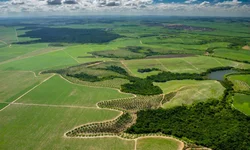 Governo gaúcho irá aportar recursos para agricultores