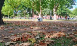 Outono sob El Niño terá temperaturas altas e chuva variável